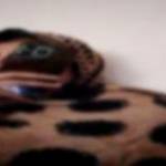 Humna Naeem Profile Picture