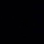 testing1119 Profile Picture